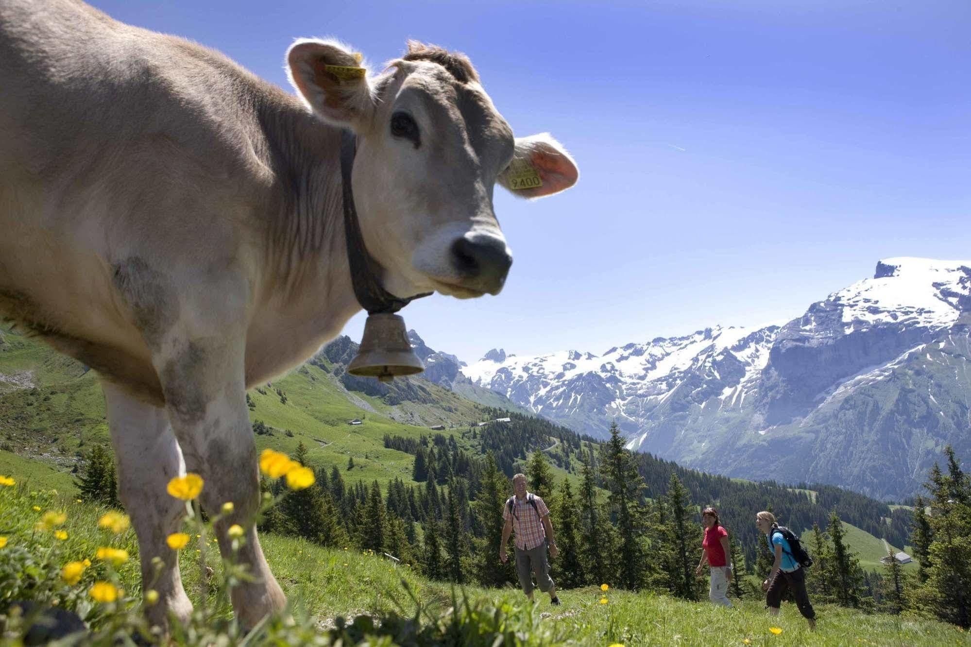 Berglodge Restaurant Ristis Engelberg Kültér fotó