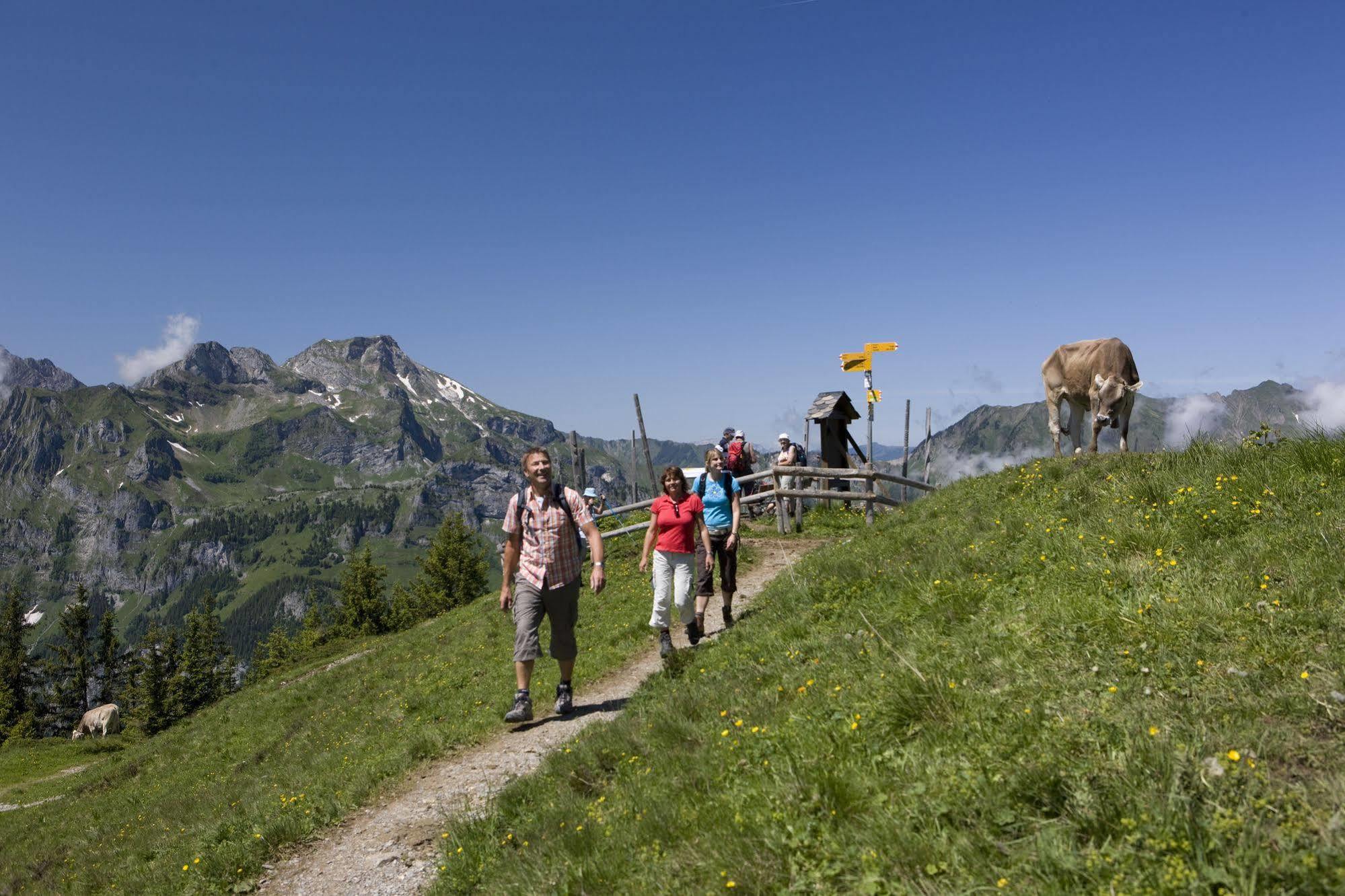 Berglodge Restaurant Ristis Engelberg Kültér fotó